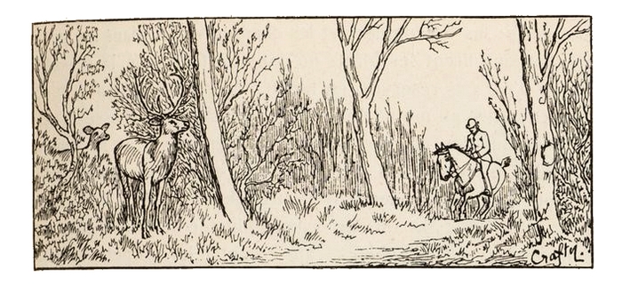 Illustration tirée du Manuel de Vènerie française - Emmanuel Le Couteulx de Canteleu (1890) - Hachette et Cie (Paris) - BnF (Gallica) (3)